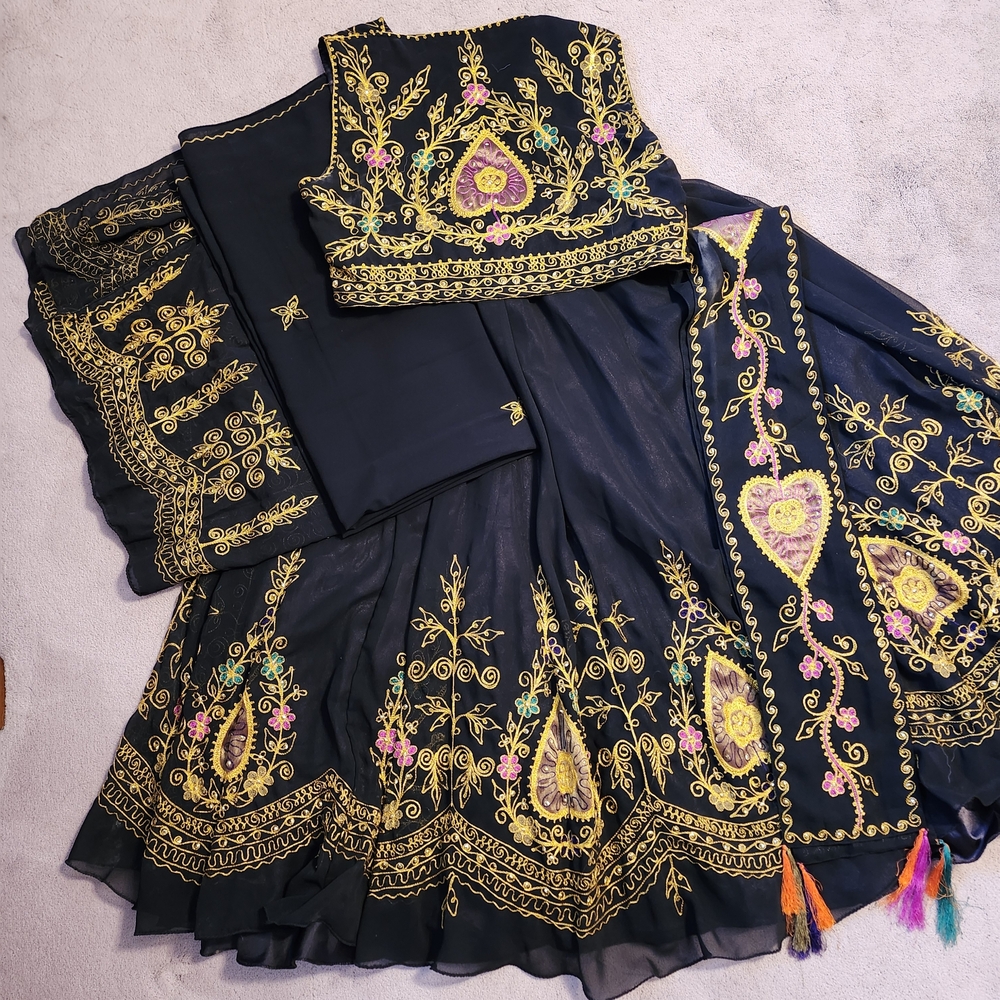 Embroidered Black and Gold Traditional Belly Dance Regalia With Coin Bra Belt